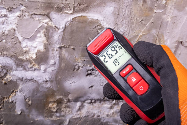 Best Residential Mold Removal  in Woodsi East, DE