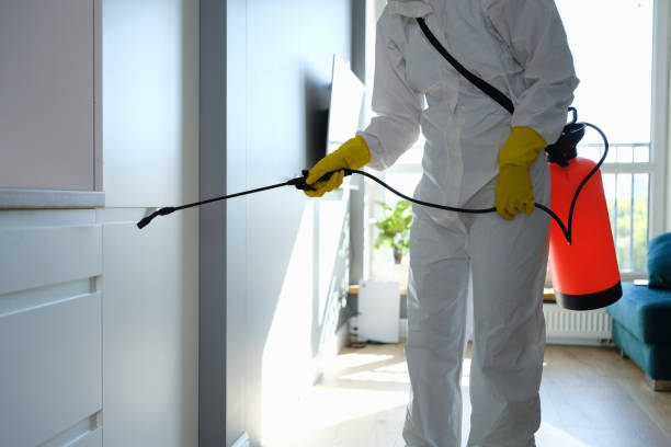Best Attic Mold Removal  in Woodsi East, DE