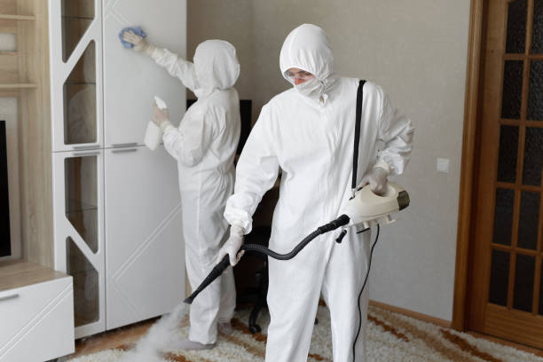 Best Professional Mold Removal  in Woodsi East, DE
