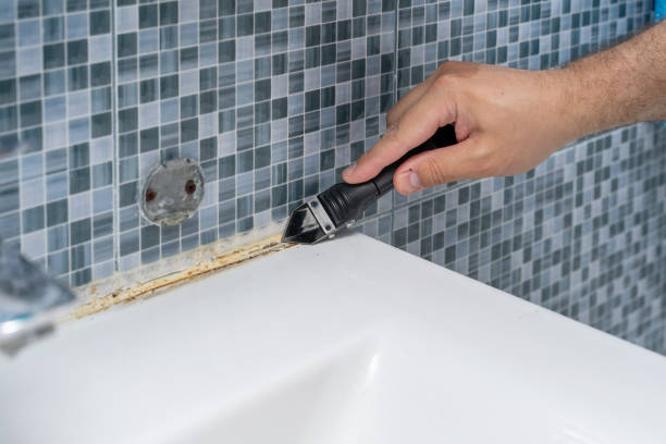 Best Best Mold Removal Companies  in Woodsi East, DE